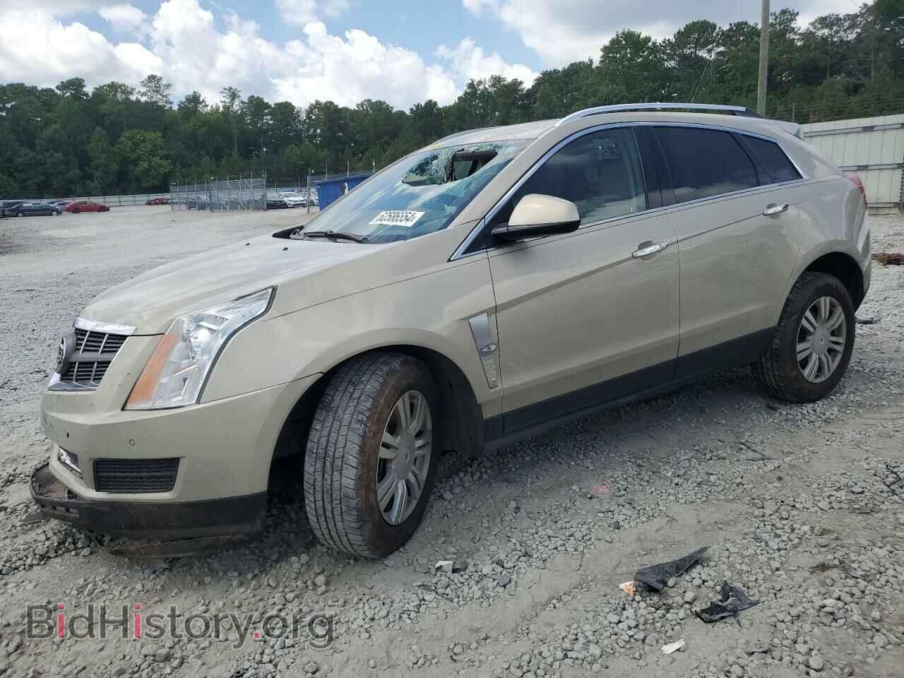 Фотография 3GYFNAEY9BS515262 - CADILLAC SRX 2011