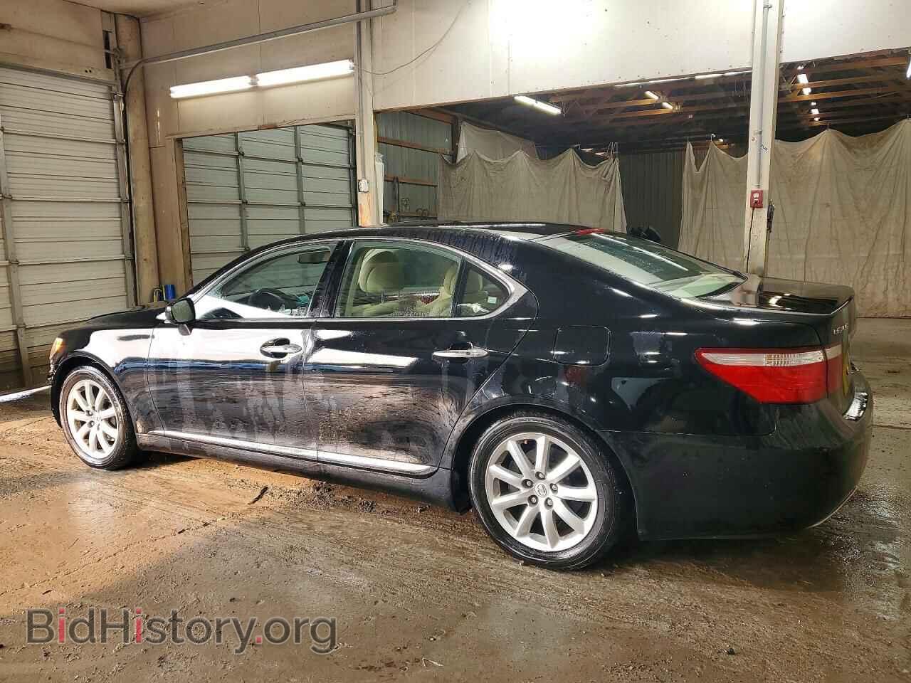 2008 LEXUS LS460 - VIN: JTHBL46F685066858 - Photo 2