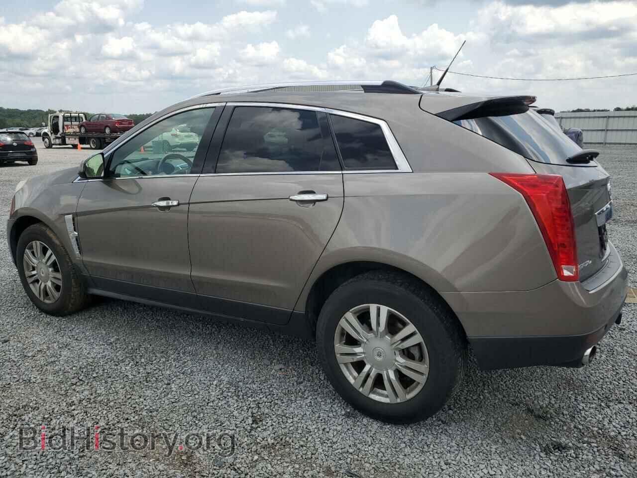 2011 CADILLAC SRX - VIN: 3GYFNDEY5BS615229 - Фото 2