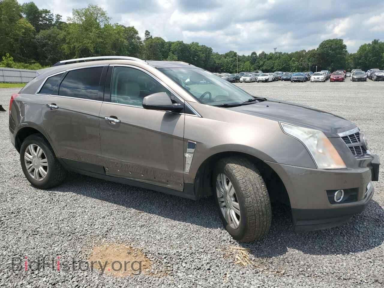 2011 CADILLAC SRX - VIN: 3GYFNDEY5BS615229 - Фото 4