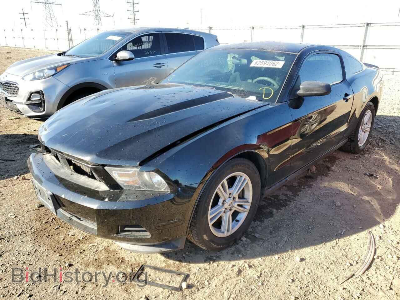 2012 FORD MUSTANG - VIN: 1ZVBP8AM4C5278215 - Фото 2