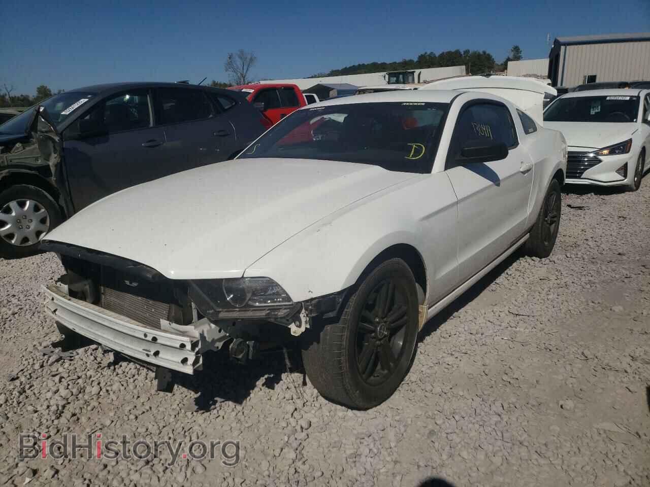 2013 FORD MUSTANG - VIN: 1ZVBP8AM2D5207449 - Фото 2
