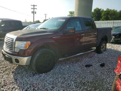 2010 Ford ALL MODELS Supercrew, темно-бордовый — VIN 1FTFW1EV5AFD53948, Copart
