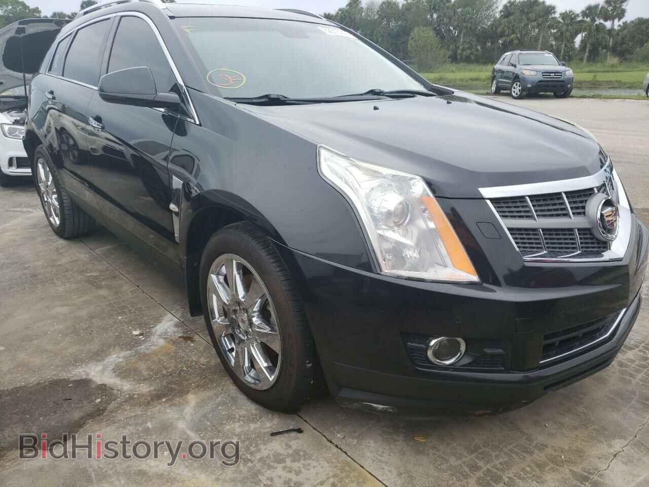 Фотография 3GYFNJE61BS585031 - CADILLAC SRX 2011