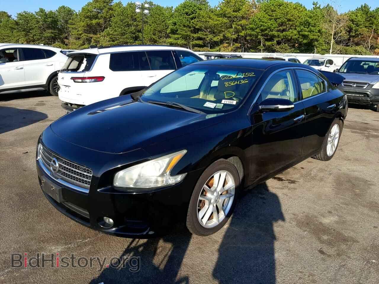 Фотография 1N4AA5AP6BC856436 - NISSAN MAXIMA 2011