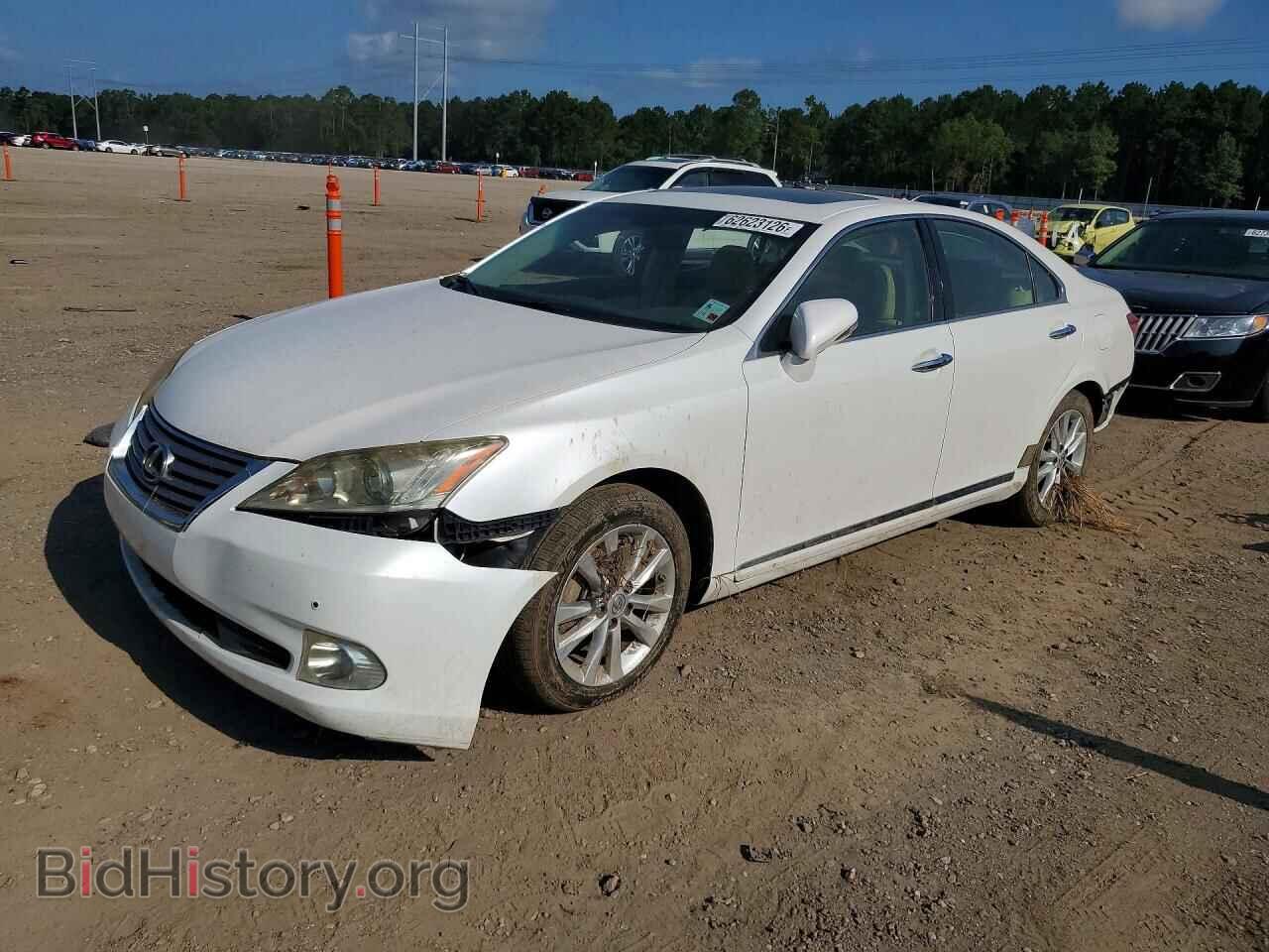 Фотография JTHBK1EG6A2371697 - LEXUS ES350 2010