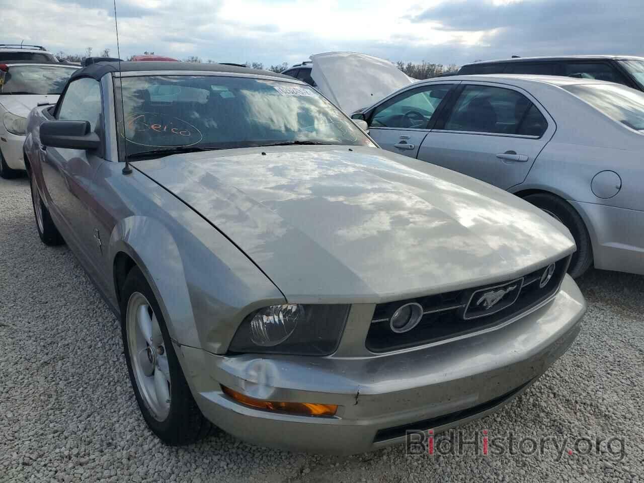 Photo 1ZVHT84N185106287 - FORD MUSTANG 2008