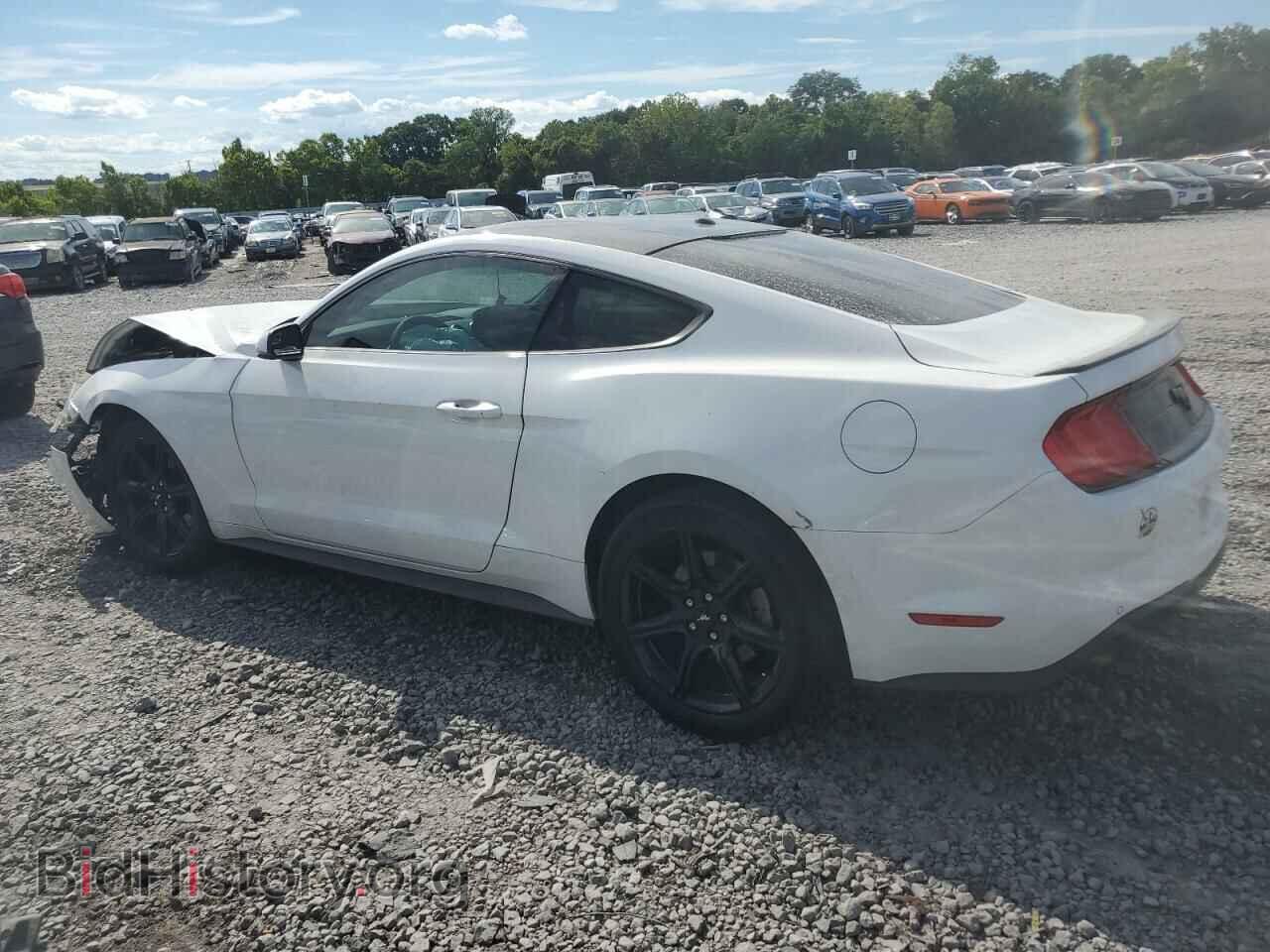 2019 FORD ALL Models - VIN: 1FA6P8TH8K5167353 - Фото 2