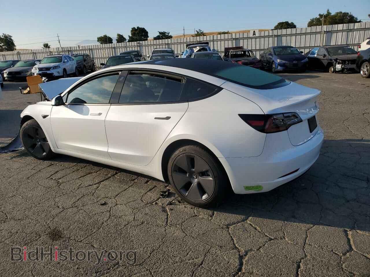 2023 TESLA MODEL 3 - VIN: 5YJ3E1EA7PF404320 - Photo 2