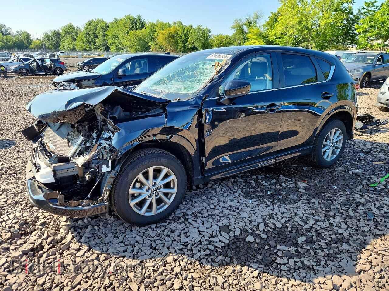 Фотография JM3KFBBM5R0352692 - MAZDA CX-5 2024