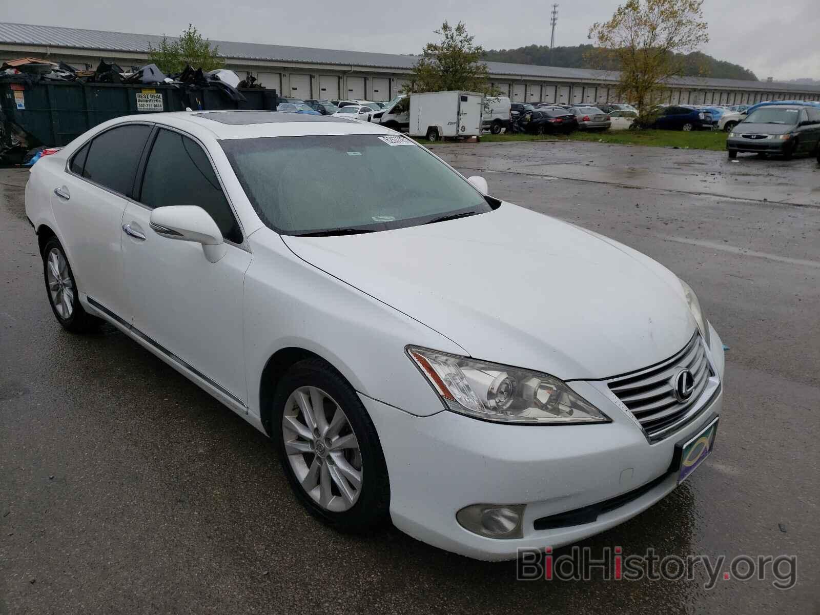 Фотография JTHBK1EG8A2369126 - LEXUS ES350 2010