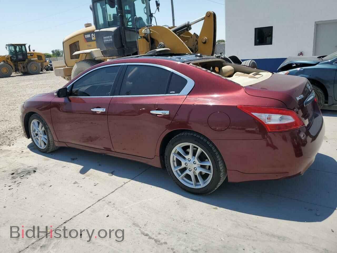 2009 NISSAN MAXIMA - VIN: 1N4AA51E99C822015 - Фото 2