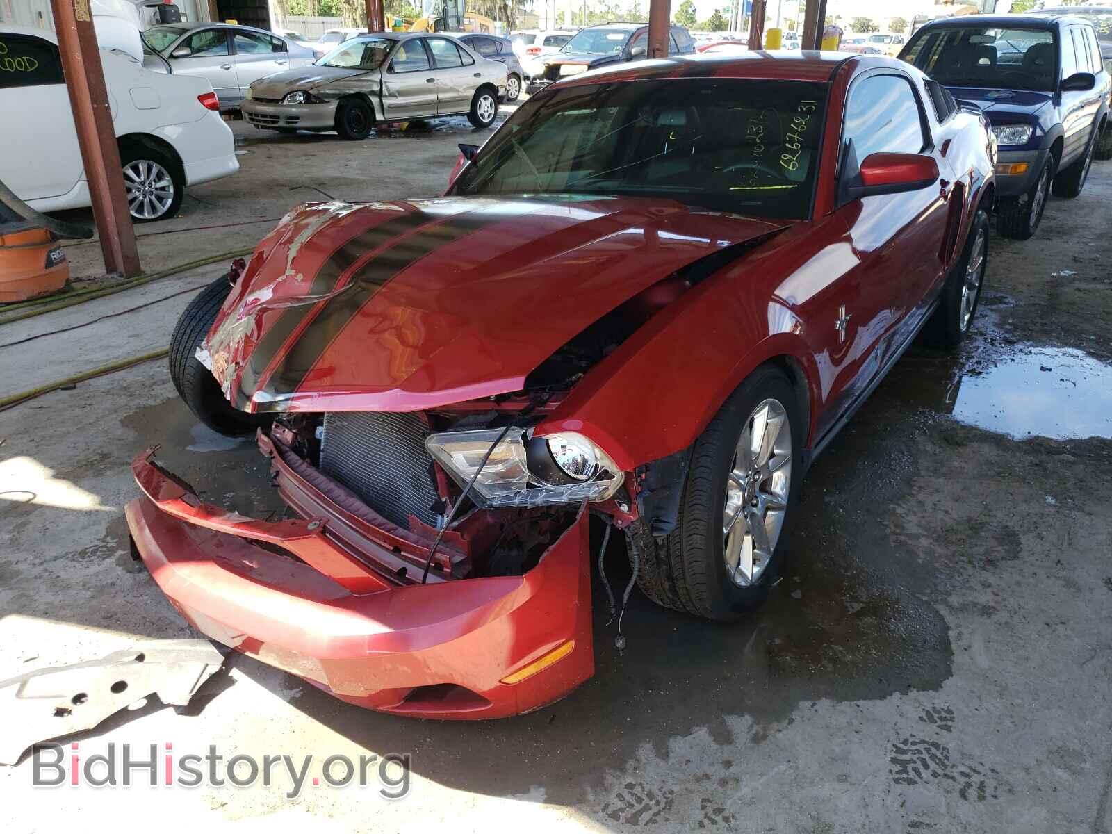2010 FORD MUSTANG - VIN: 1ZVBP8AN9A5147397 - Фото 2