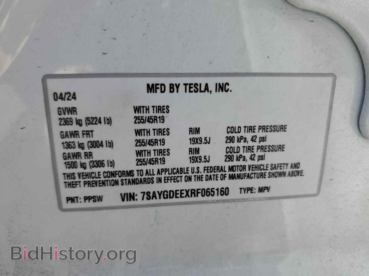 2024 TESLA MODEL Y - VIN: 7SAYGDEEXRF065160 - Фото 14