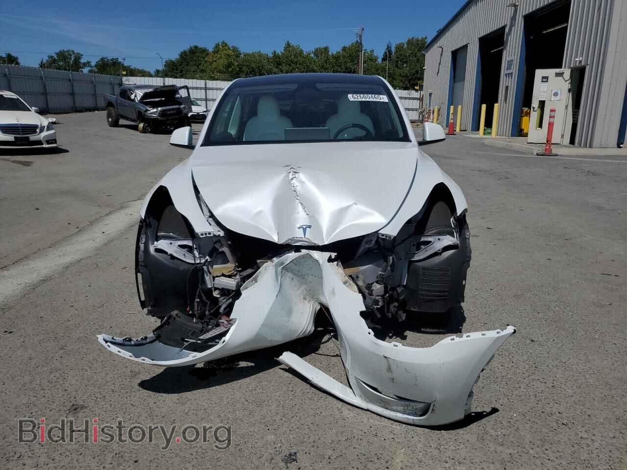 2024 TESLA MODEL Y - VIN: 7SAYGDEEXRF065160 - Фото 5