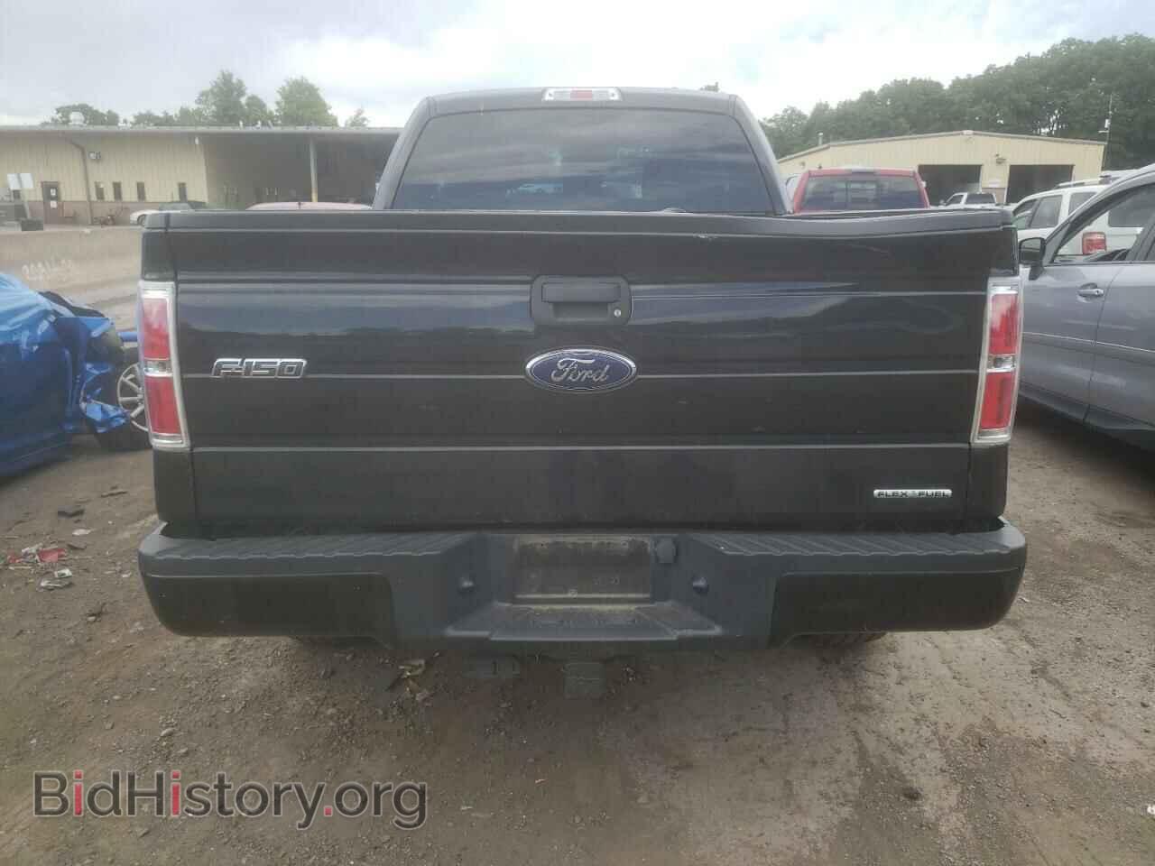 2013 FORD F-150 - VIN: 1FTFX1EF5DFD89181 - Фото 6