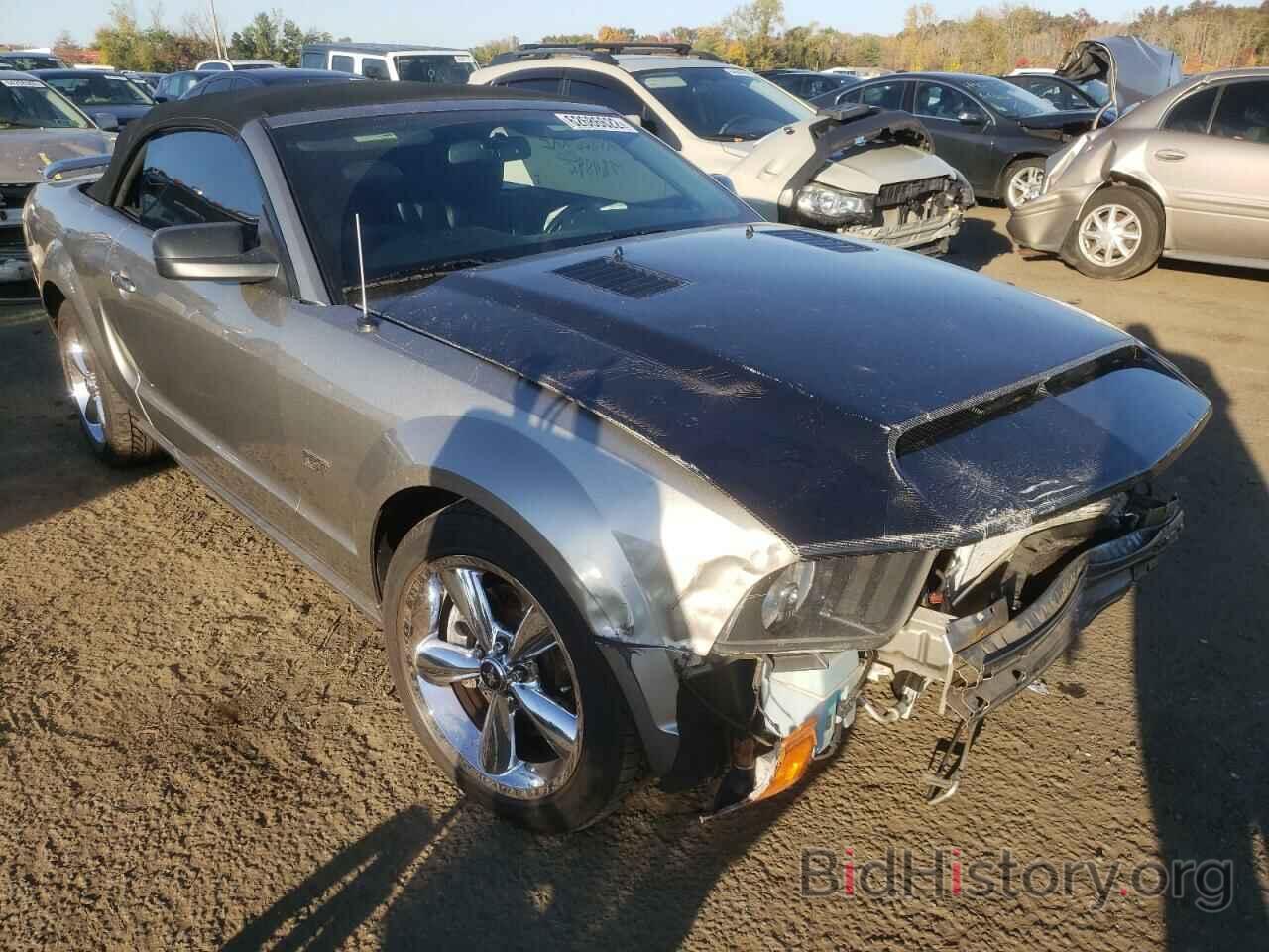 Photo 1ZVHT85H885178063 - FORD MUSTANG 2008