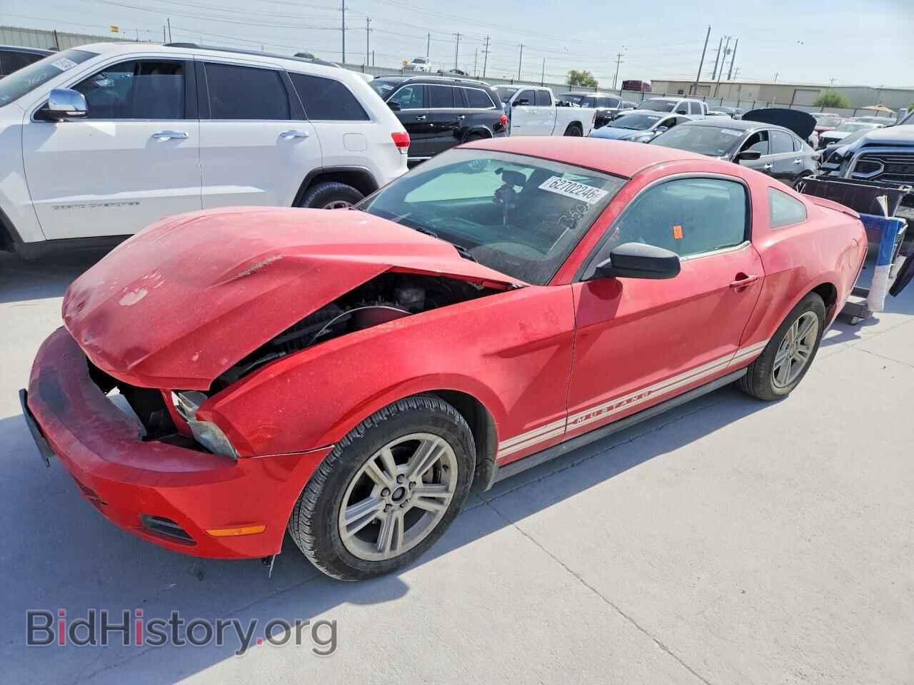 Фотография 1ZVBP8ANXA5172664 - FORD MUSTANG 2010