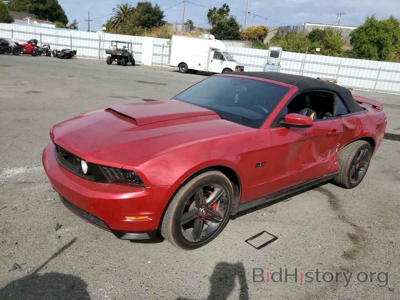Photo 1ZVBP8FH0A5121225 - FORD MUSTANG 2010