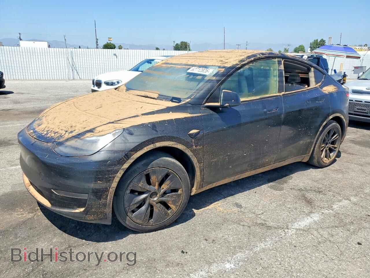 Фотография 7SAYGDED2RF166149 - TESLA MODEL Y 2024