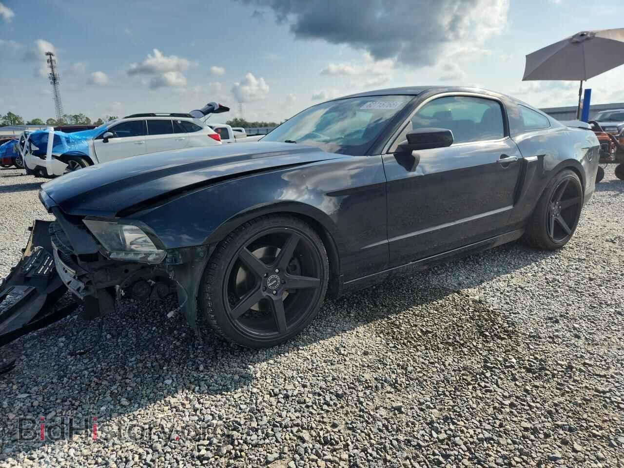 Photo 1ZVBP8AM5E5321026 - FORD MUSTANG 2014