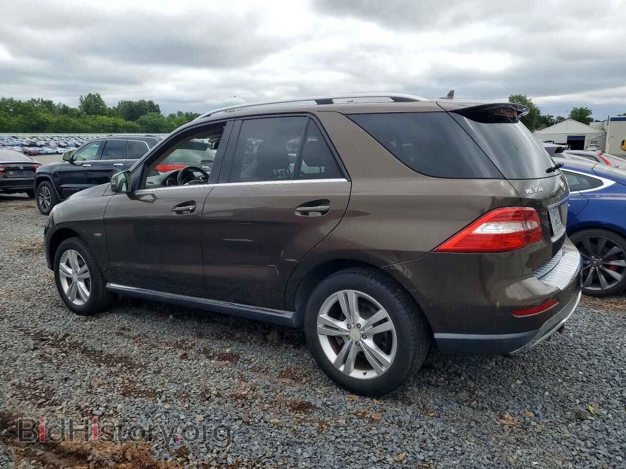 2012 MERCEDES-BENZ M-CLASS - VIN: 4JGDA5HB2CA024991 - Фото 2