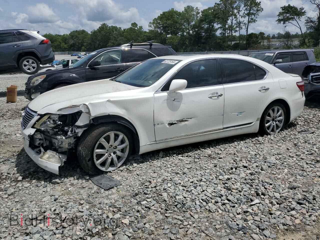 Photo JTHBL46F985063095 - LEXUS LS460 2008