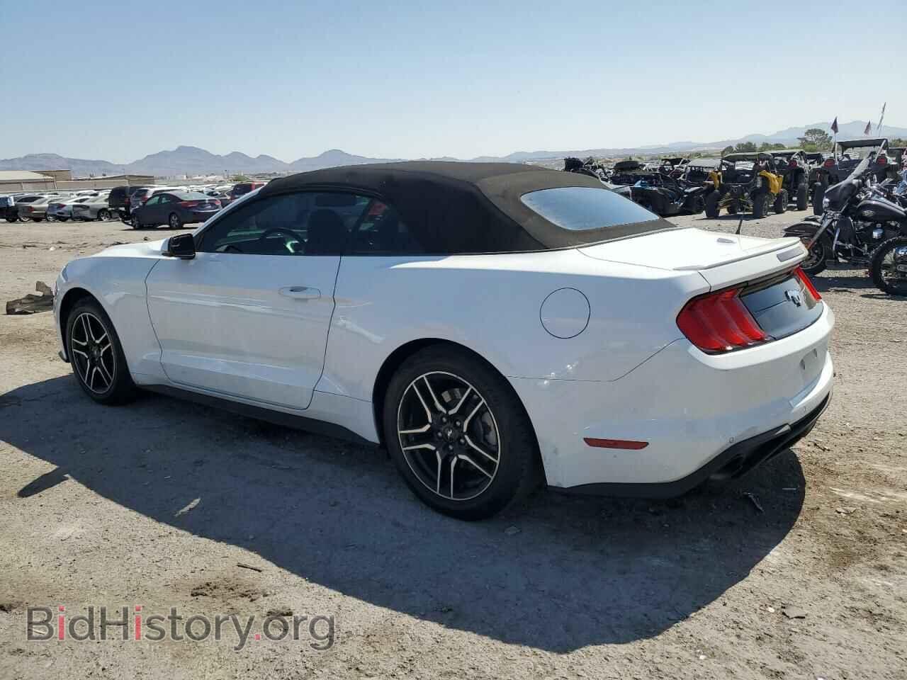 2019 FORD ALL Models - VIN: 1FATP8UH9K5149395 - Photo 2