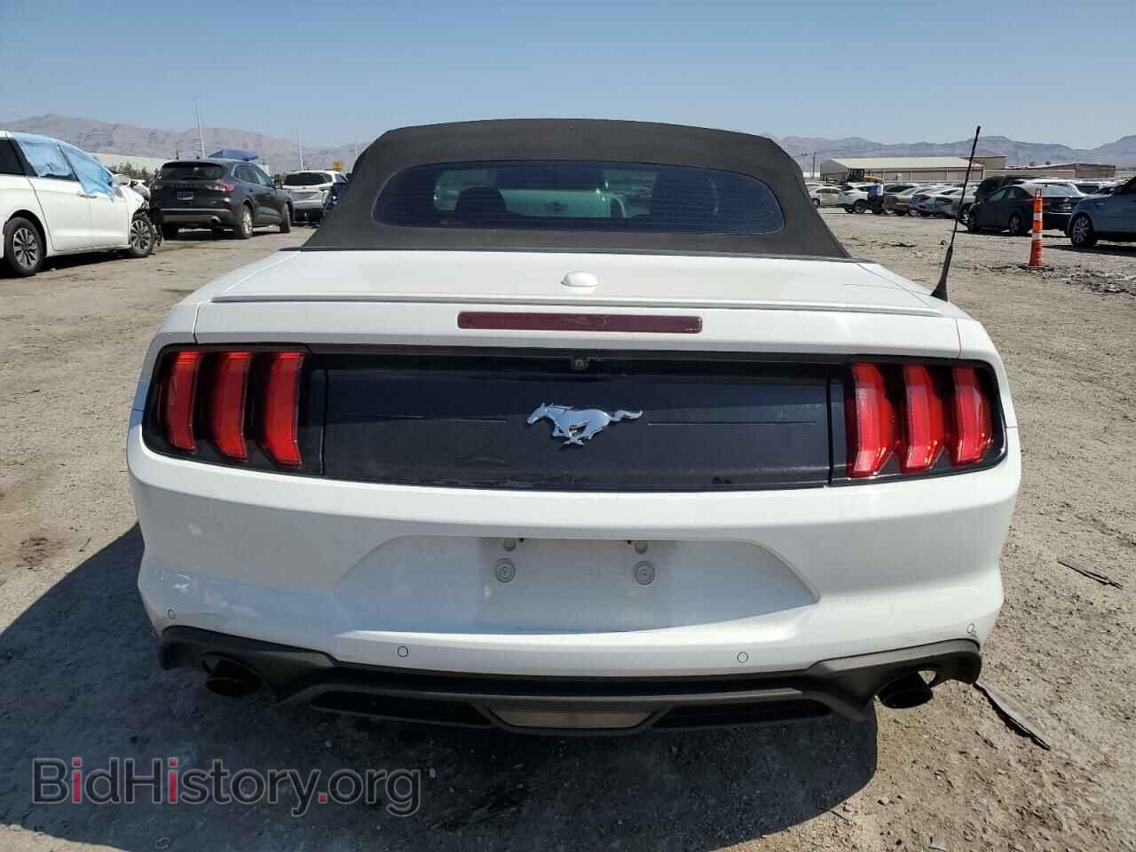 2019 FORD ALL Models - VIN: 1FATP8UH9K5149395 - Photo 6