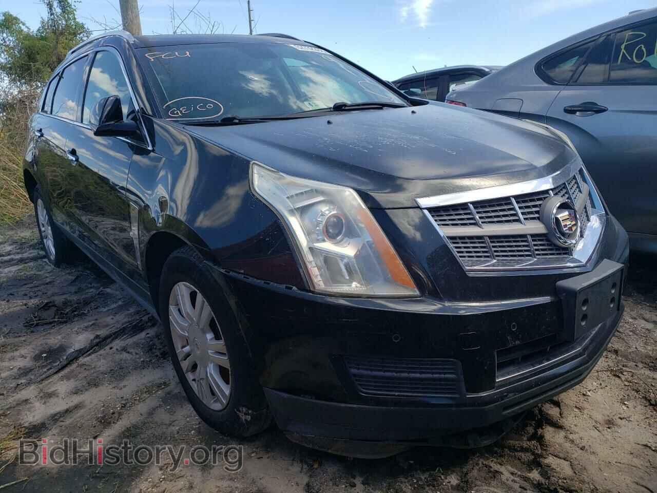 Фотография 3GYFNDEY3AS507304 - CADILLAC SRX 2010