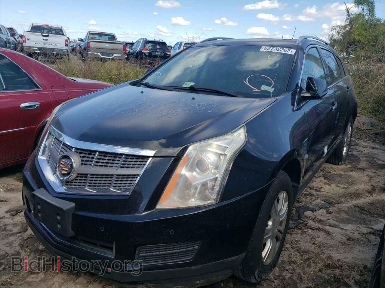 2010 CADILLAC SRX - VIN: 3GYFNDEY3AS507304 - Фото 2