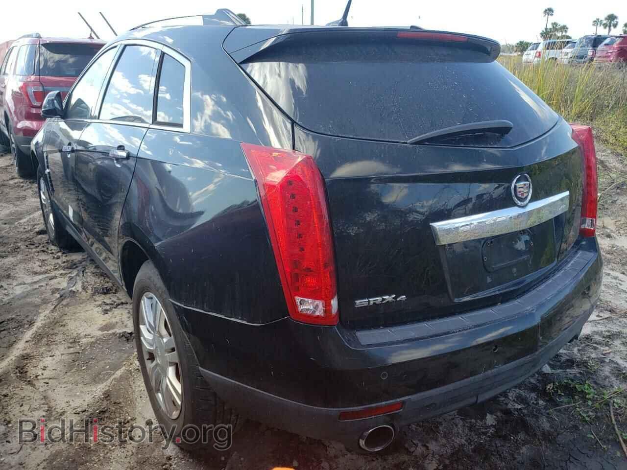 2010 CADILLAC SRX - VIN: 3GYFNDEY3AS507304 - Фото 3