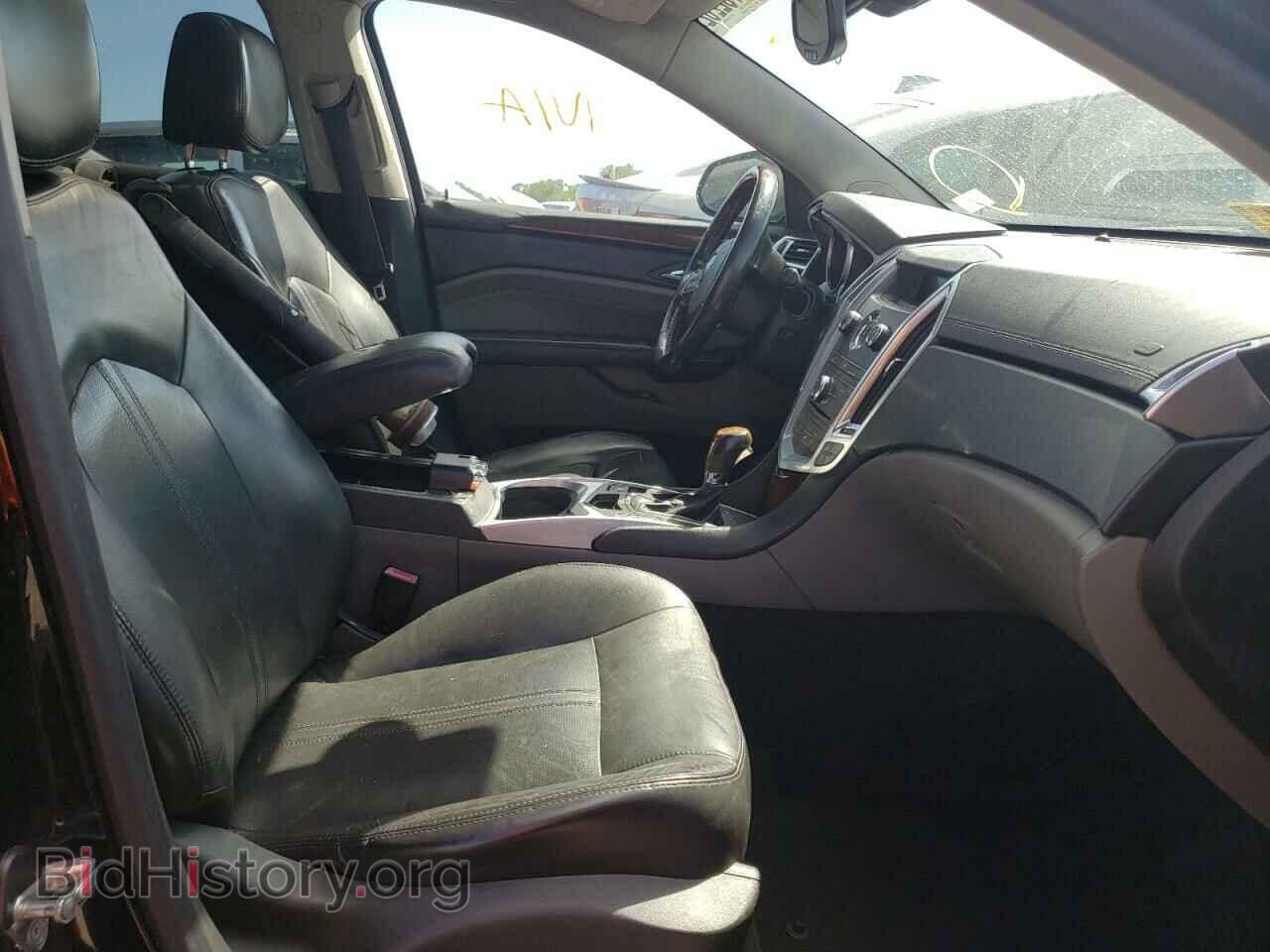 2010 CADILLAC SRX - VIN: 3GYFNDEY3AS507304 - Фото 5