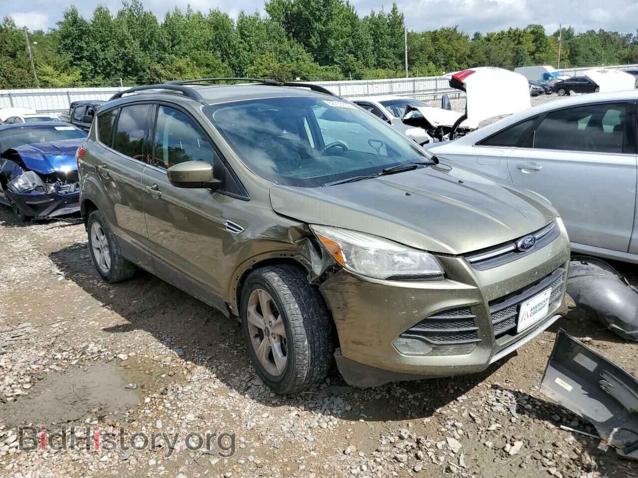 Fascinating 2013 Ford Escape Green Images