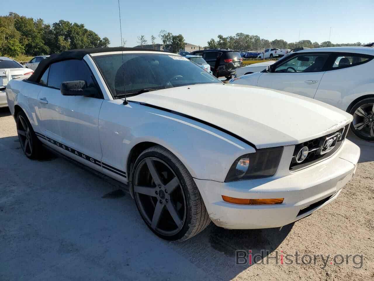 Photo 1ZVFT84NX75242858 - FORD MUSTANG 2007