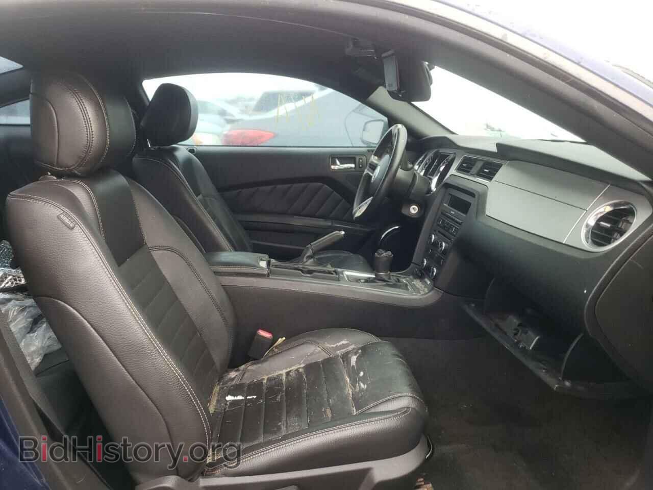 2012 FORD MUSTANG - VIN: 1ZVBP8CF7C5263061 - Фото 5