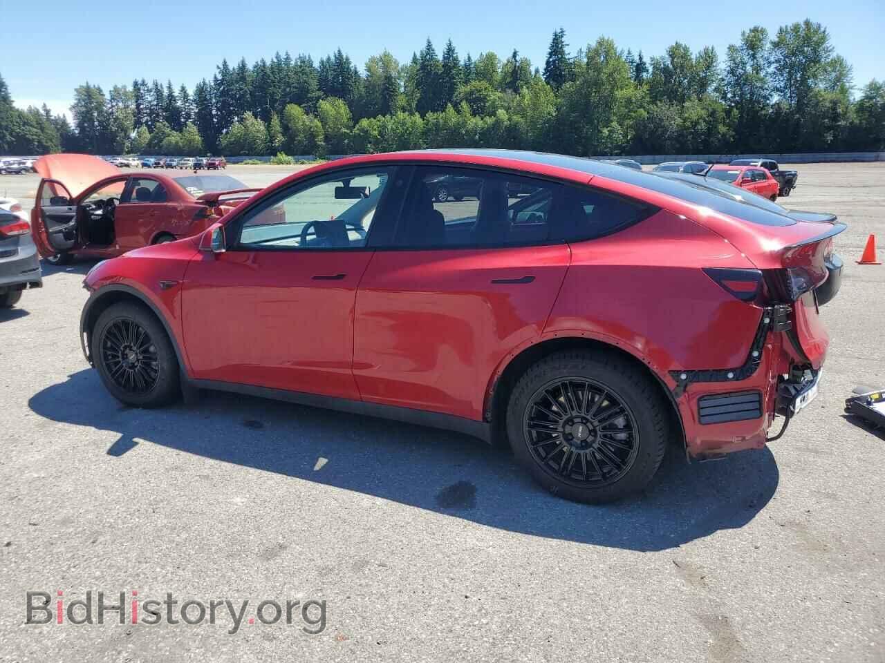 2023 TESLA MODEL Y - VIN: 7SAYGDEEXPF647059 - Фото 2