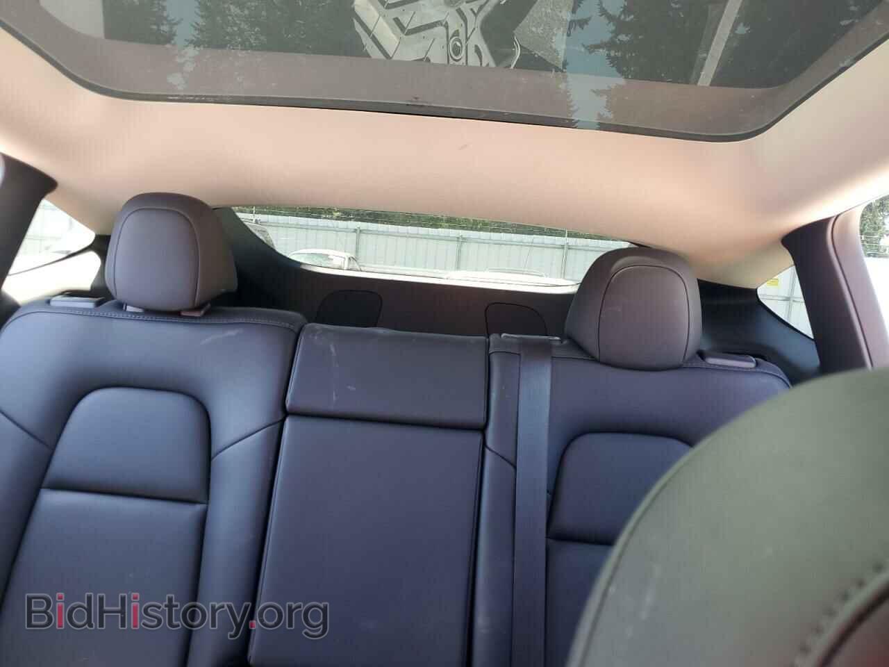 2023 TESLA MODEL Y - VIN: 7SAYGDEEXPF647059 - Фото 10
