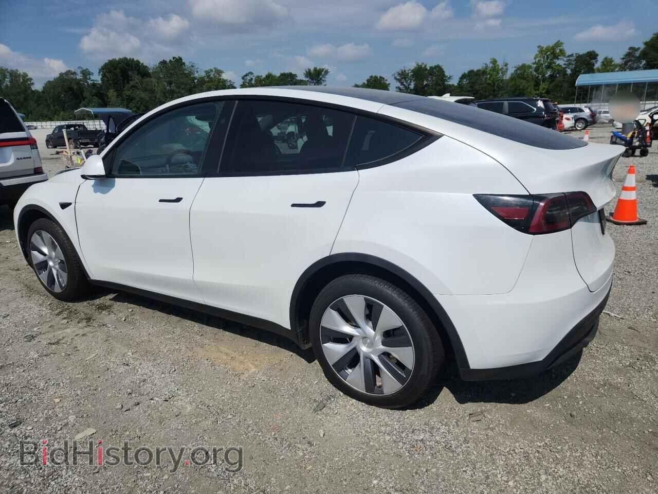 2024 TESLA MODEL Y - VIN: 7SAYGDEE1RA259458 - Фото 2