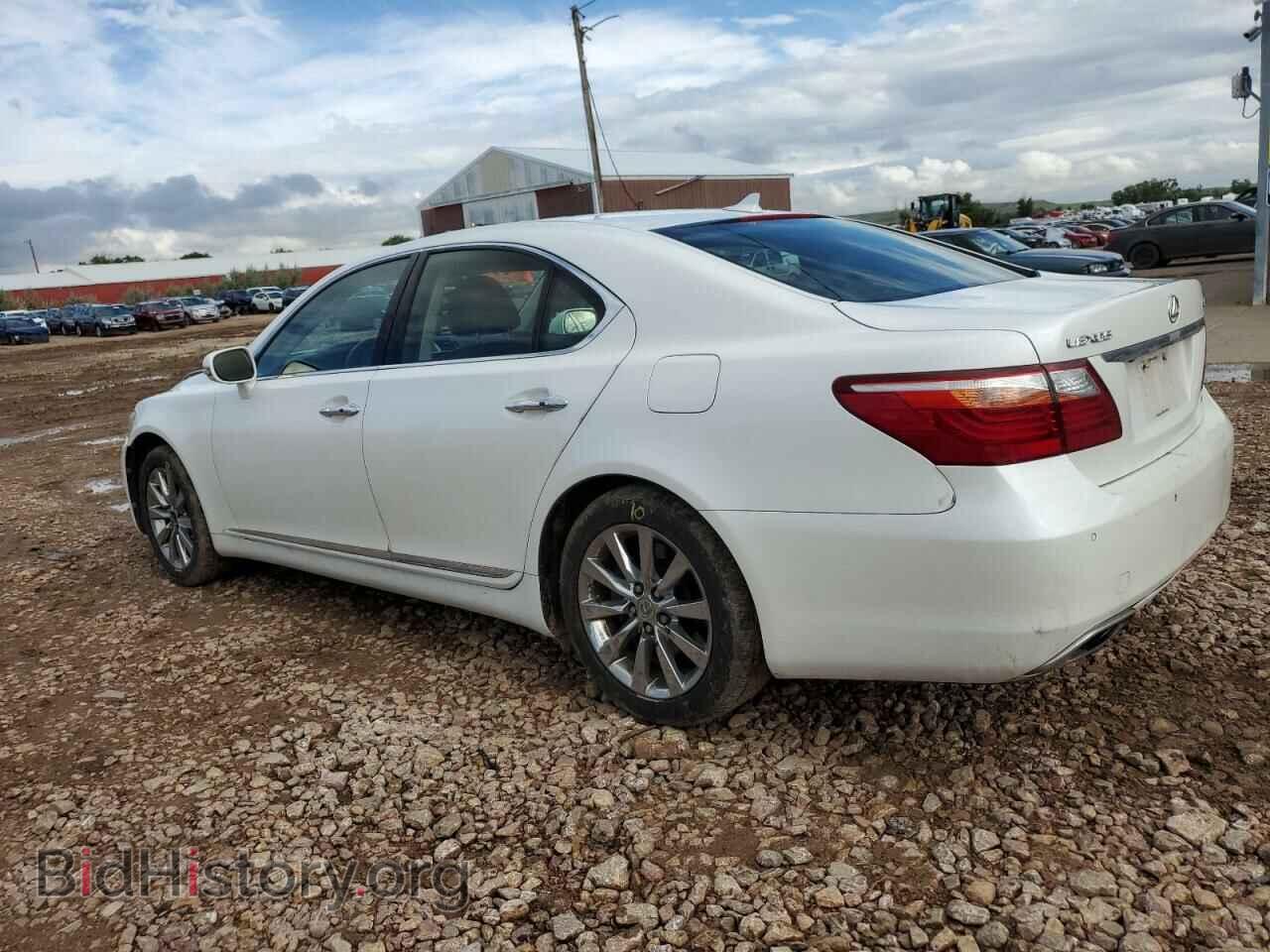 2010 LEXUS LS460 - VIN: JTHCL5EF7A5006962 - Фото 2