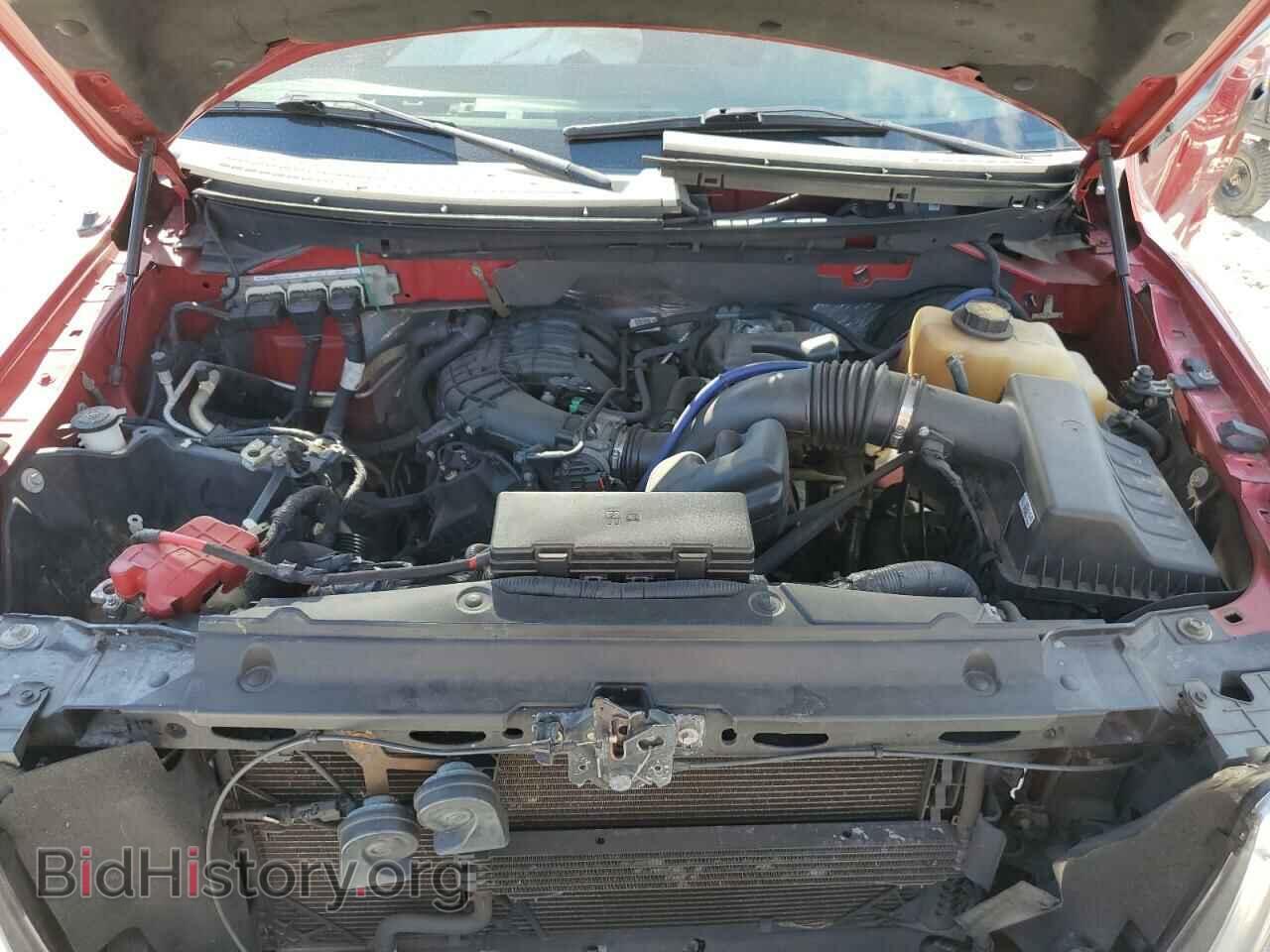 2012 FORD F-150 - VIN: 1FTEW1CM1CFB29231 - Фото 7