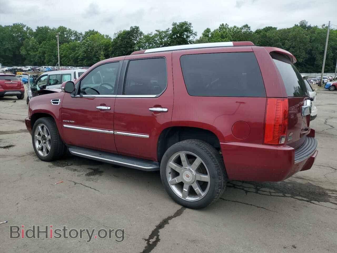 2010 CADILLAC ESCALADE - VIN: 1GYUKBEF9AR111559 - Фото 2