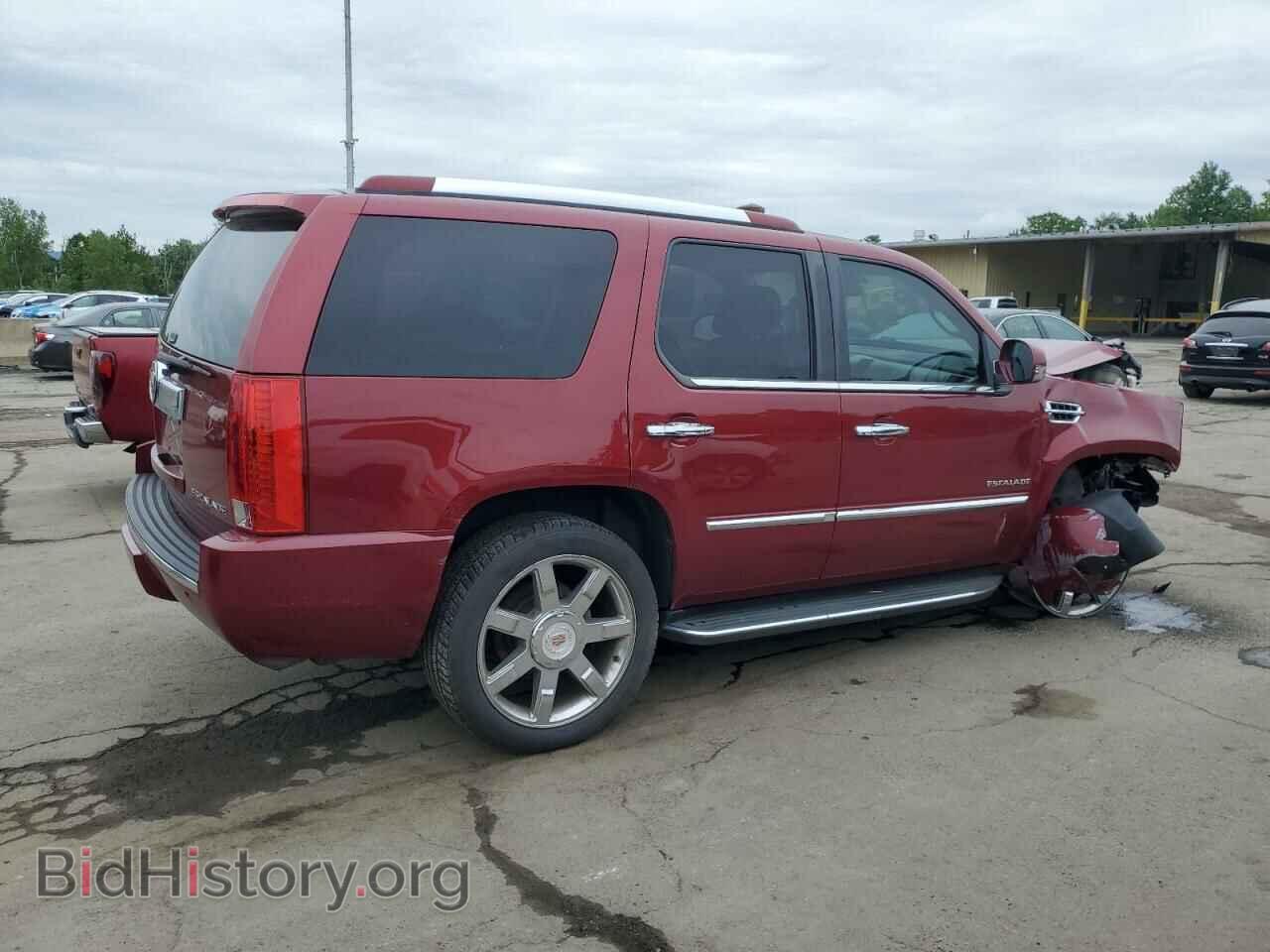 2010 CADILLAC ESCALADE - VIN: 1GYUKBEF9AR111559 - Фото 3