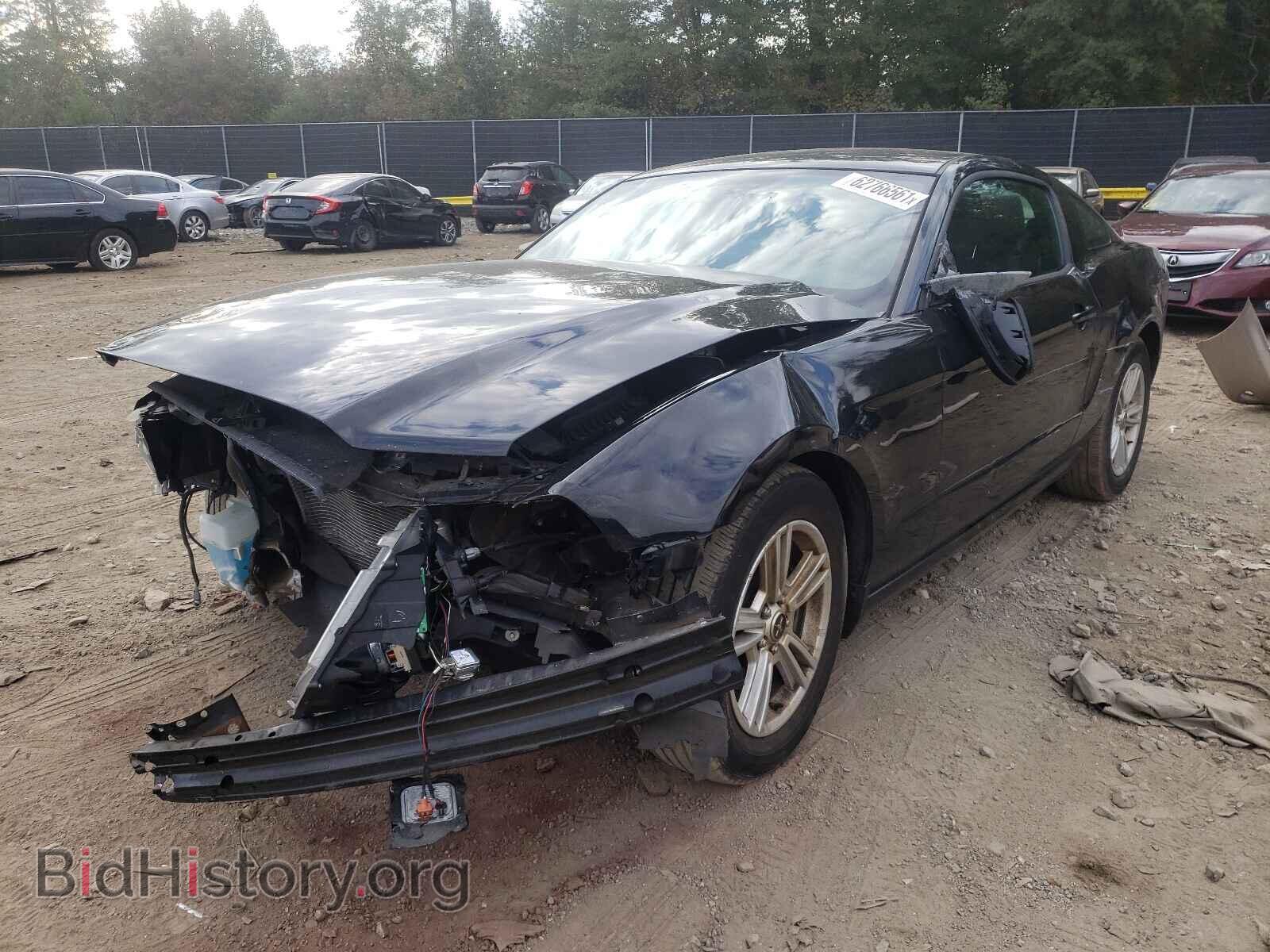 2013 FORD MUSTANG - VIN: 1ZVBP8AM4D5252344 - Фото 2