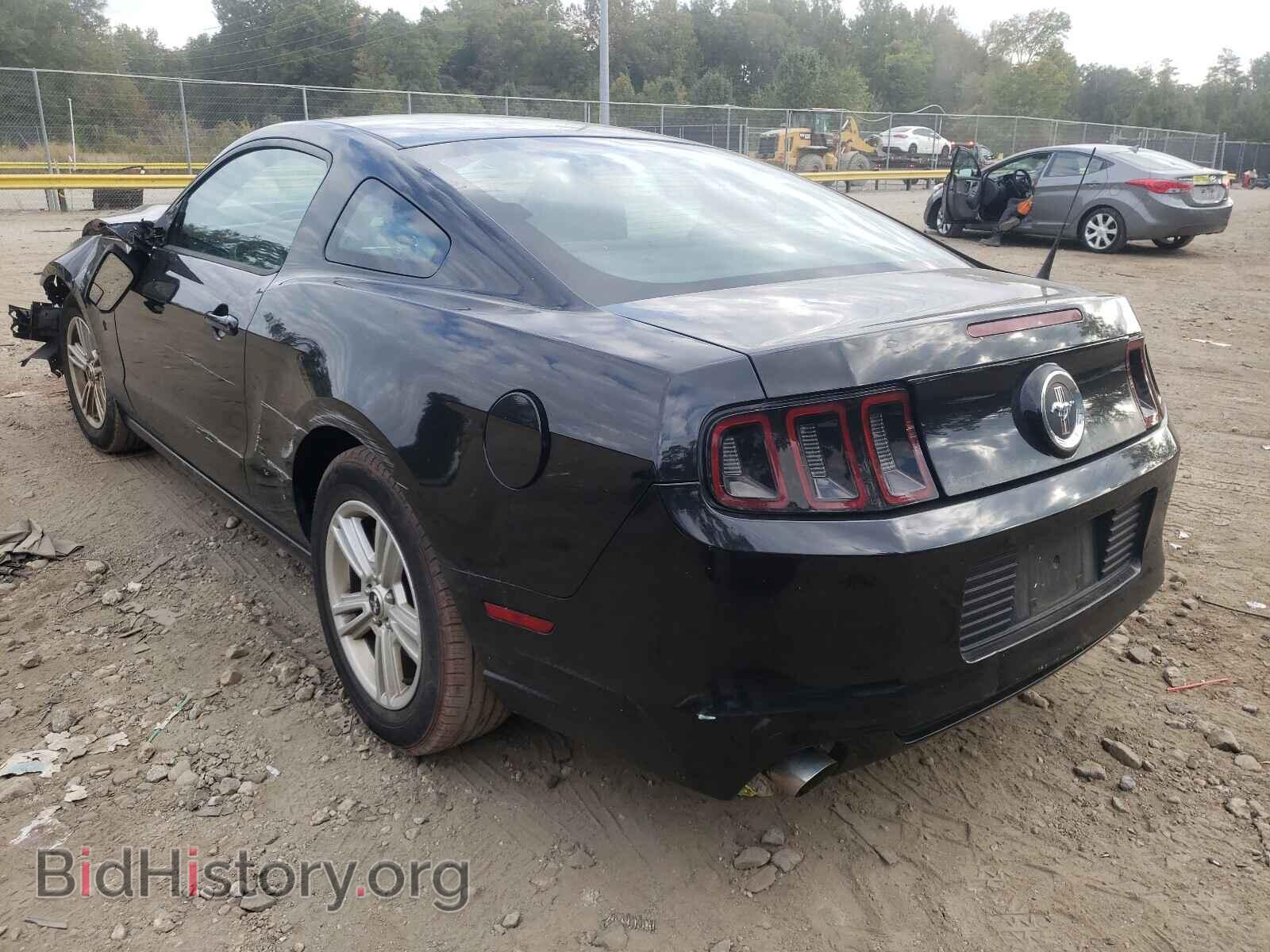 2013 FORD MUSTANG - VIN: 1ZVBP8AM4D5252344 - Фото 3