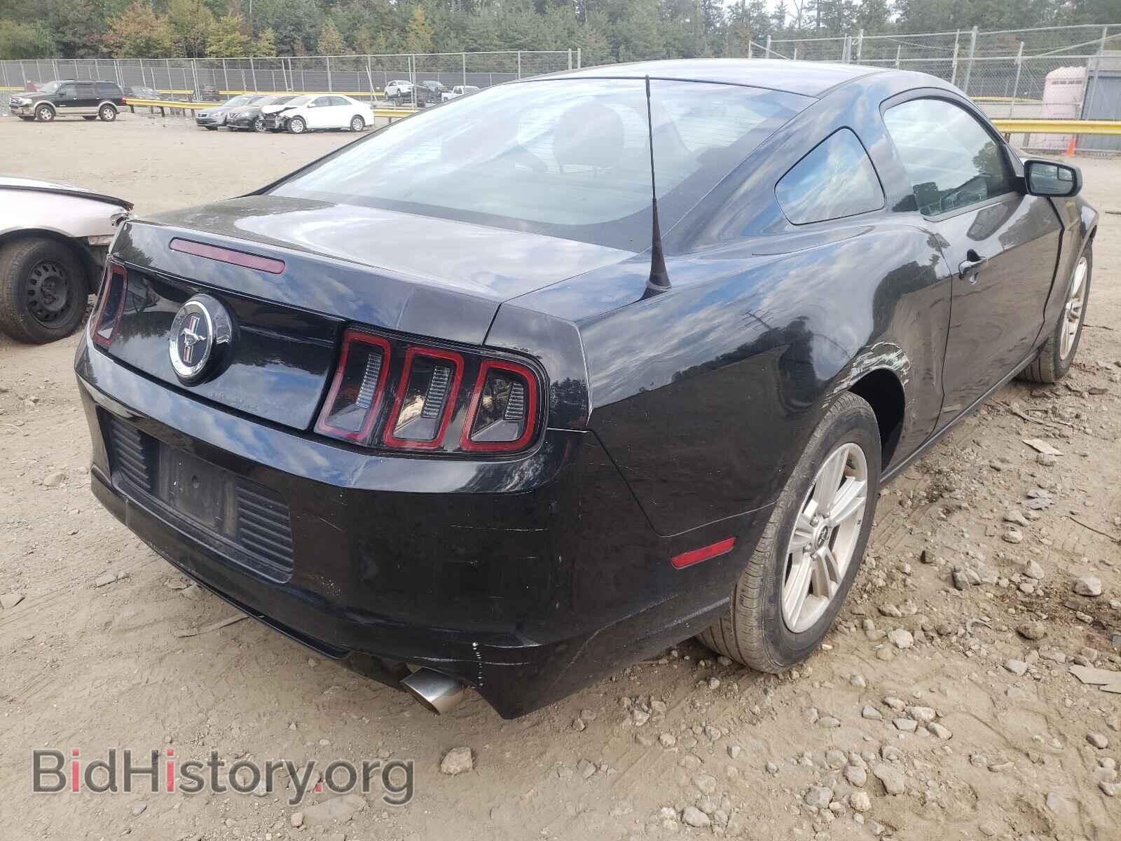2013 FORD MUSTANG - VIN: 1ZVBP8AM4D5252344 - Фото 4