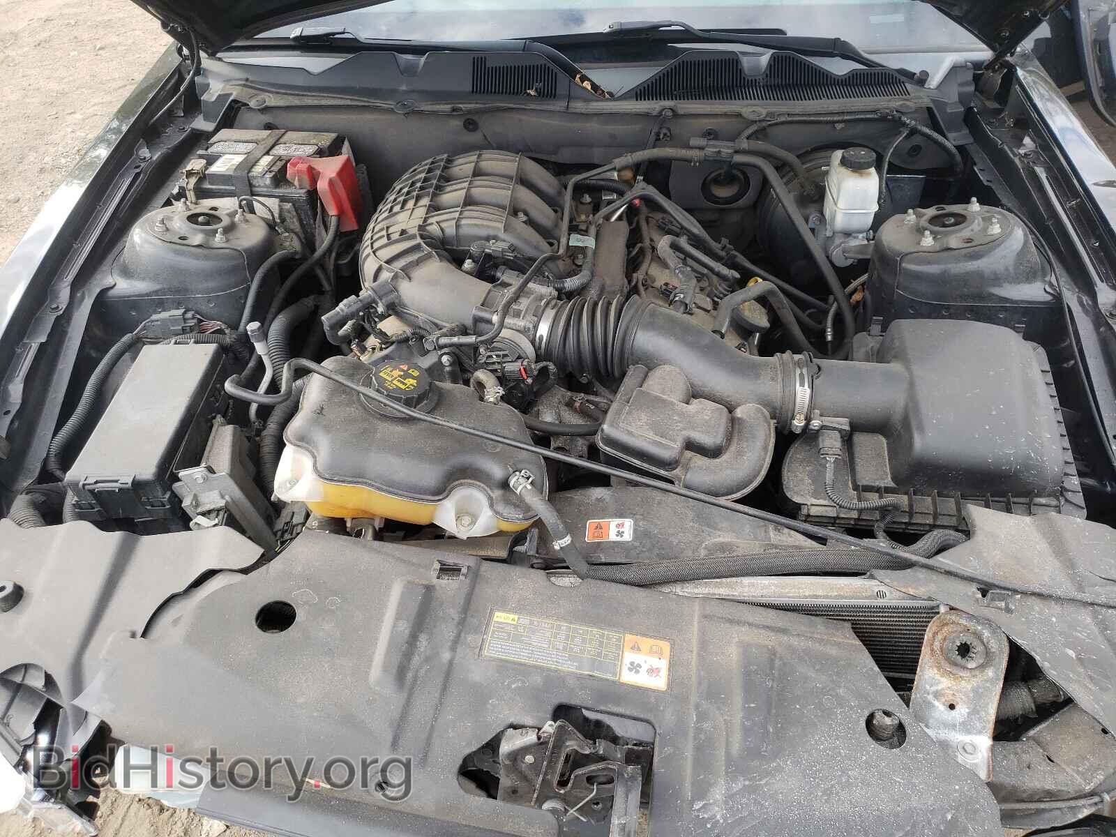 2013 FORD MUSTANG - VIN: 1ZVBP8AM4D5252344 - Фото 7