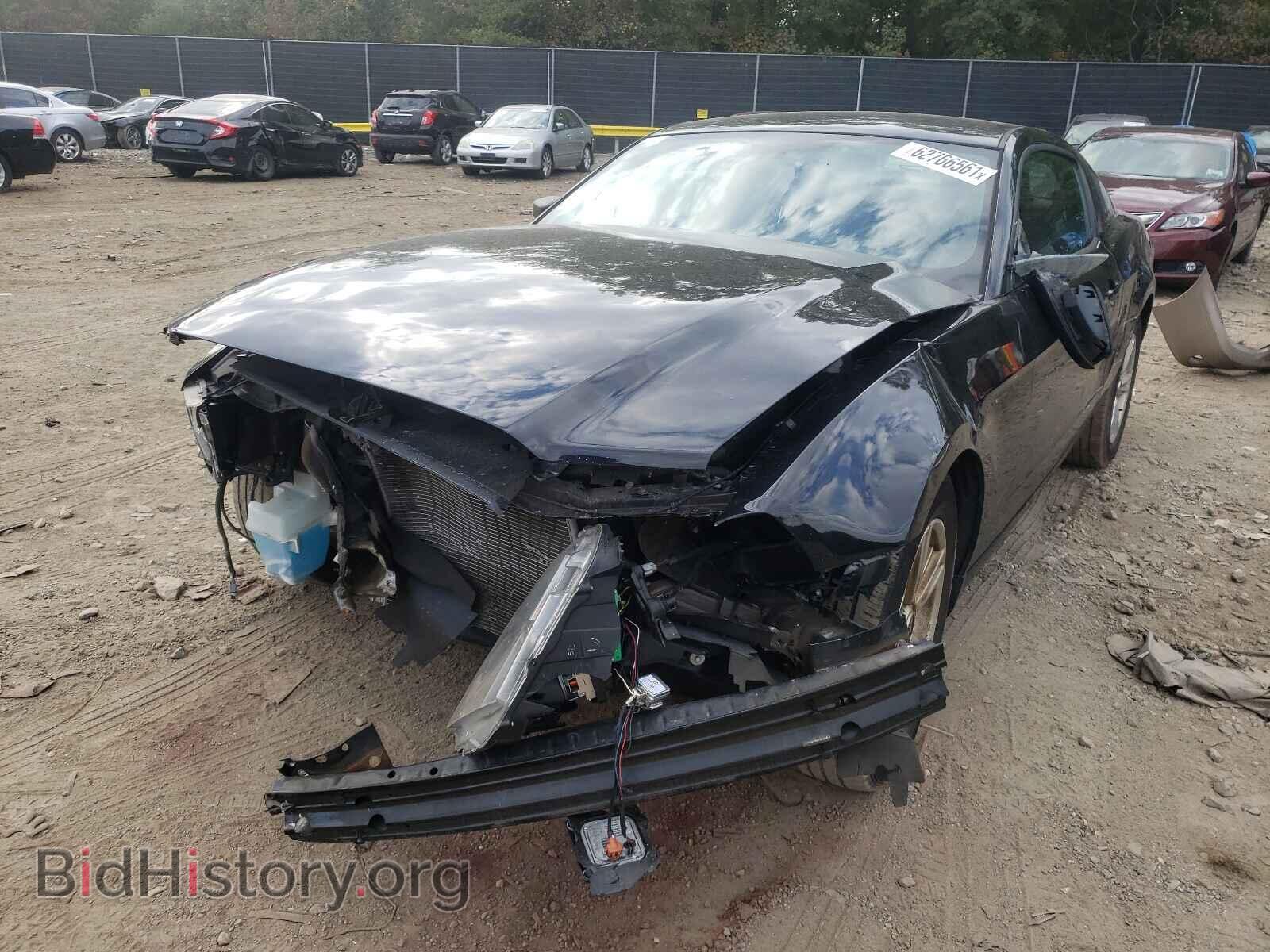 2013 FORD MUSTANG - VIN: 1ZVBP8AM4D5252344 - Фото 9