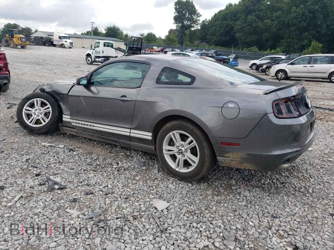 2013 FORD ALL Models - VIN: 1ZVBP8AM9D5252372 - Фото 2