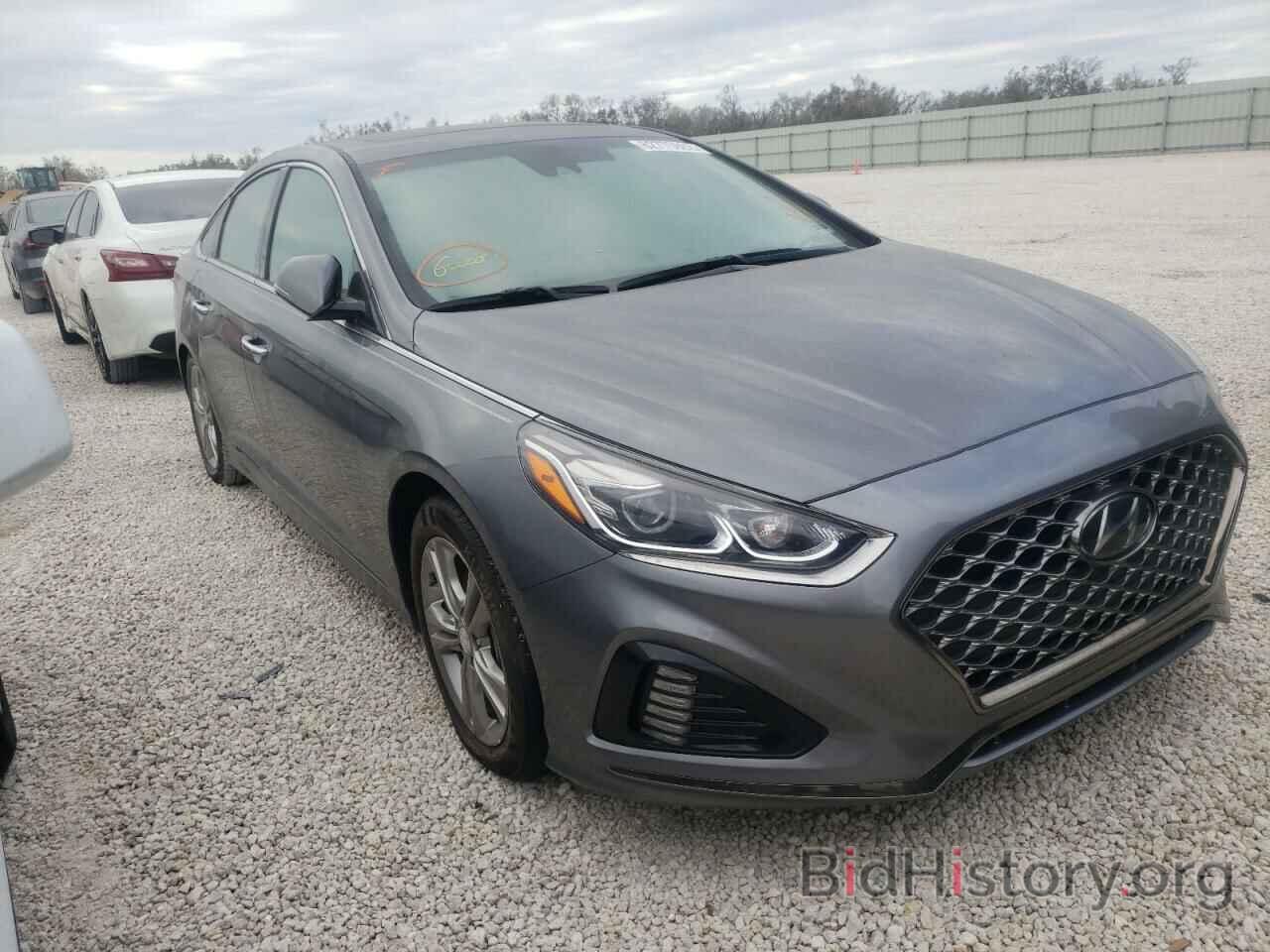 Photo 5NPE34AF4KH770165 - HYUNDAI SONATA 2019